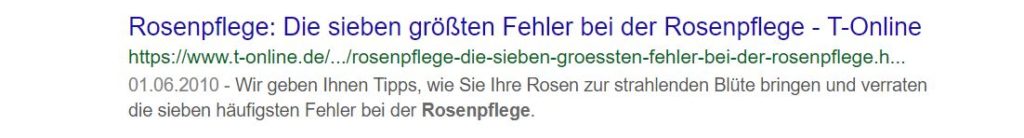 Schöne Meta Description