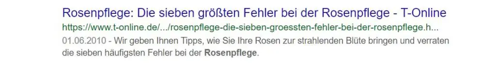 Schöne Meta Description