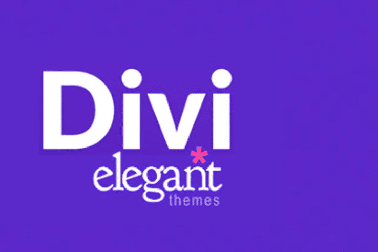 DIVI logo2