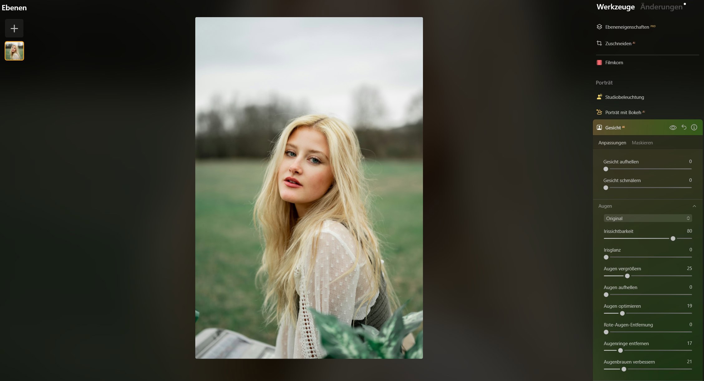 Luminar Neo Portrait