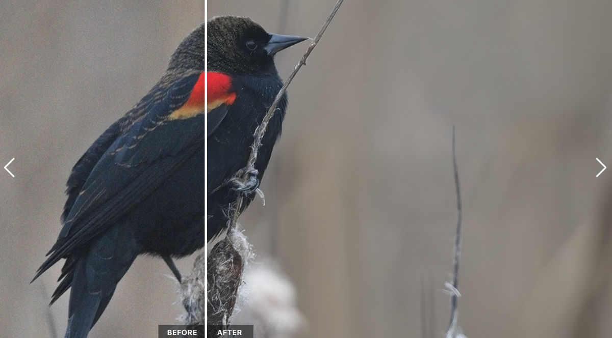 ON1 Photo RAW Lightroom Alternativen