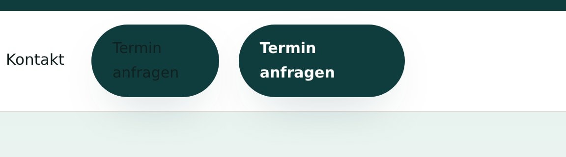Zwei Termin-anfragen-Buttons nebeneinander, einer davon dunkelgruen auf dunkelgruen und unlesbar